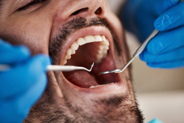 Best Emergency Orthodontic Repairs in Edgewood, FL